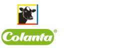 logo_footer
