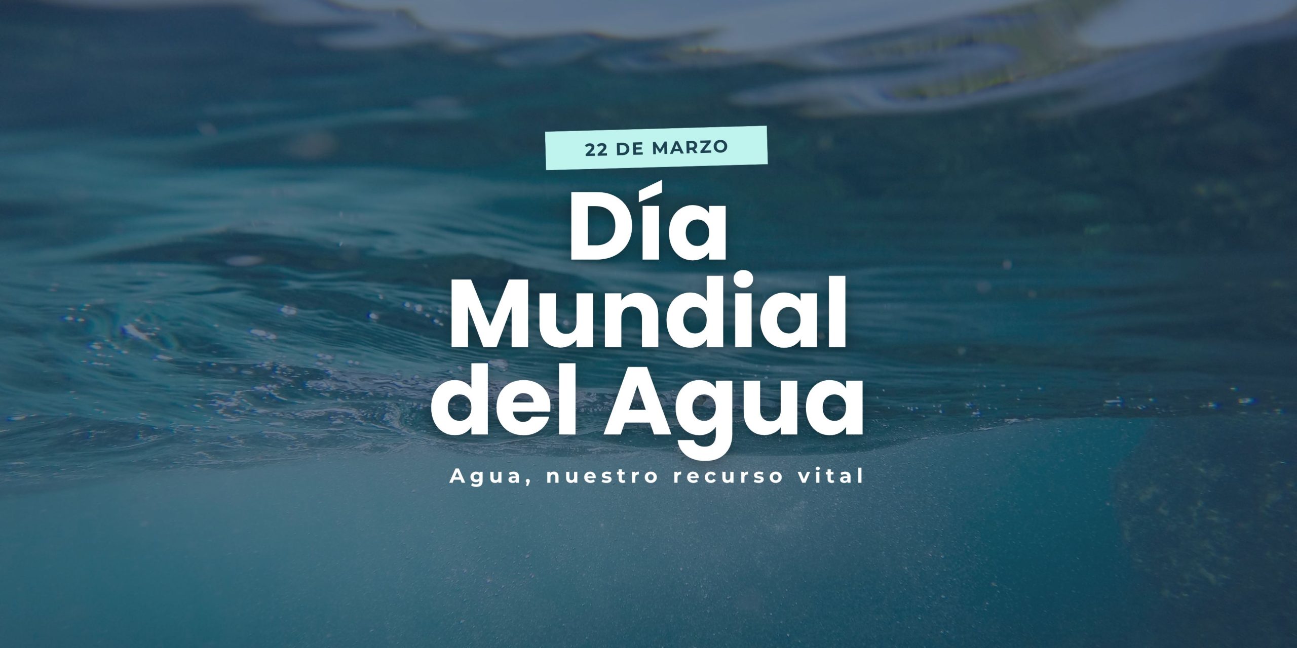El agua: el motor de tu vida y tu bienestar