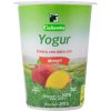 Yogur-Mango-200g