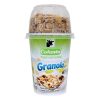 Yogur con Cereal Ganola 1 unidad