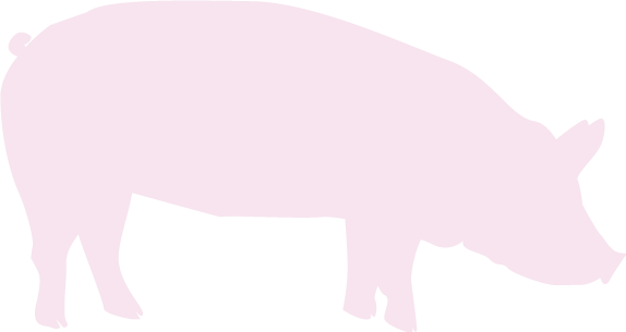 Cortes de Carne Cerdo